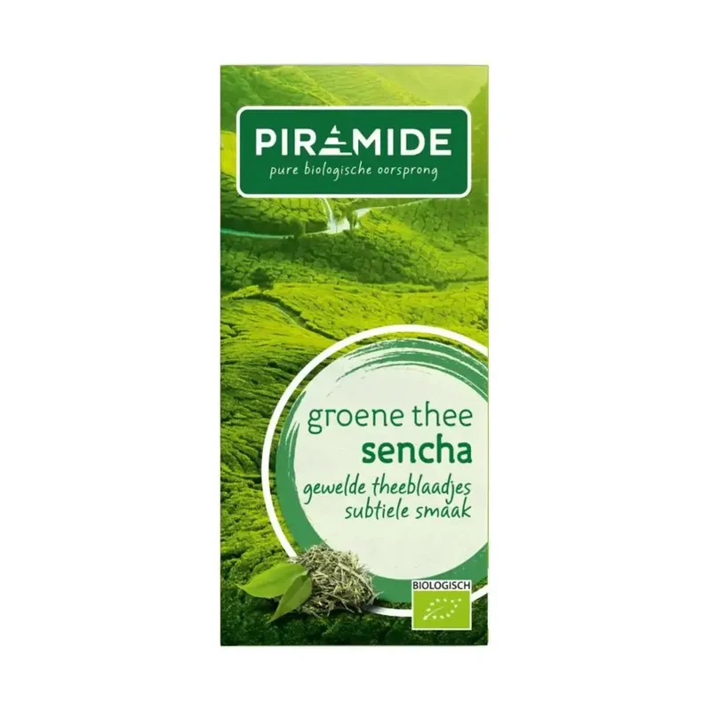 Piramide Groene thee sencha
