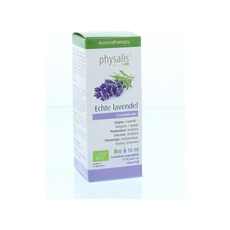 Physalis Lavendel echte