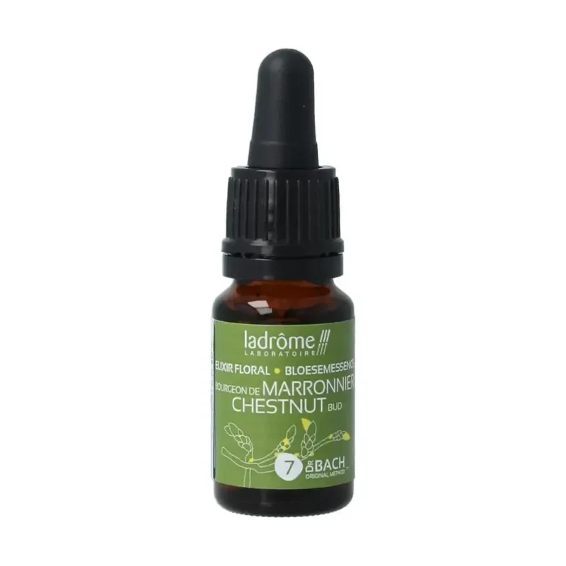 La Drome Chestnut bud biologisch 10 ml