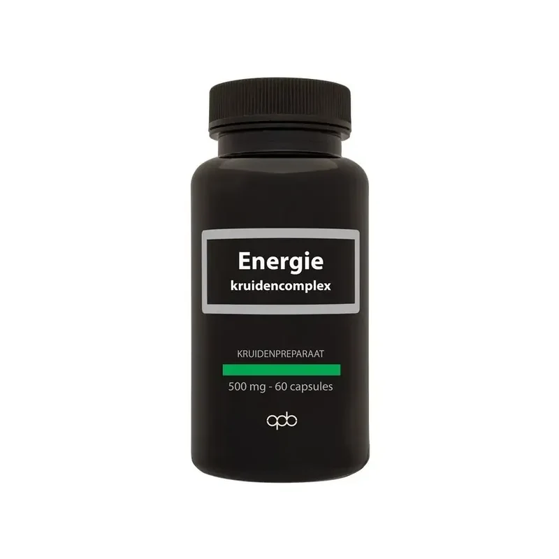 Apb Holland Energie kruidencomplex 500 mg puur 60 vcaps