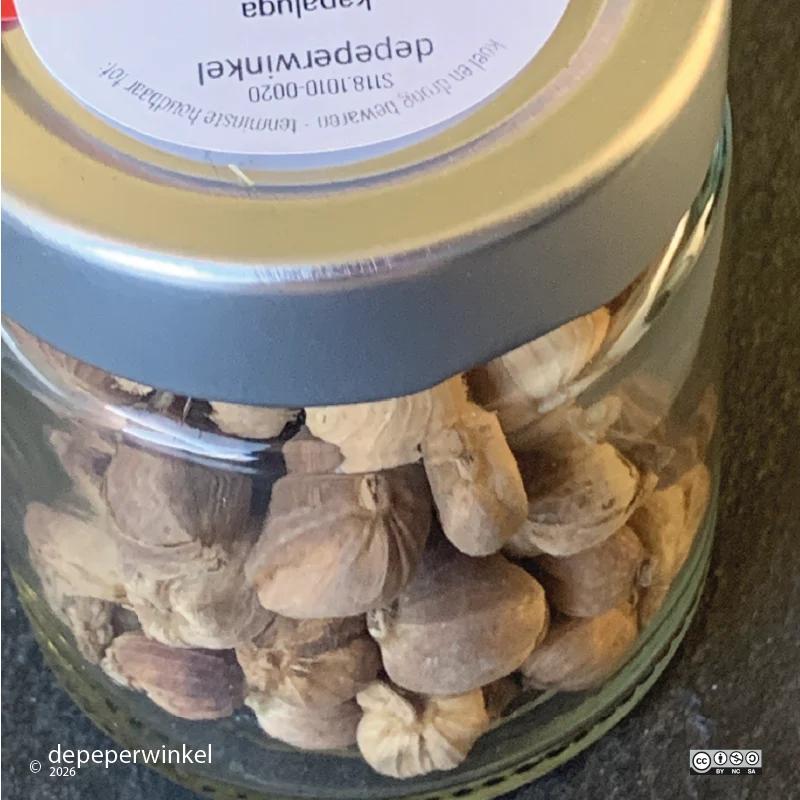 Kapulaga jawa - witte kardemom