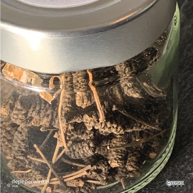 Kaapse lange peper (timiz)