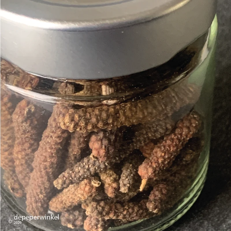 Lange đắk lắk peper