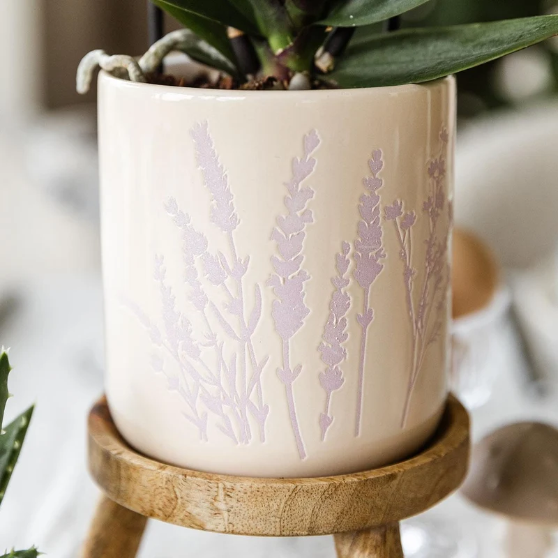 Kolibri Orchids | Donkerroze orchidee Frederikstad + Floral sierpot lavendel - potmaat Ø9cm | bloeiende kamerplant - vers van de kweker