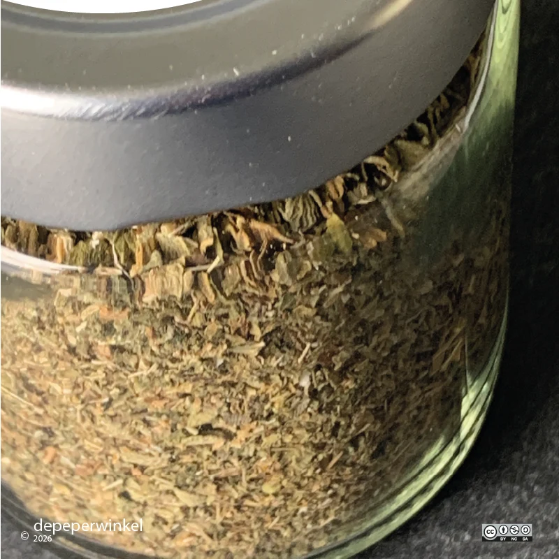 Mexicaanse oregano