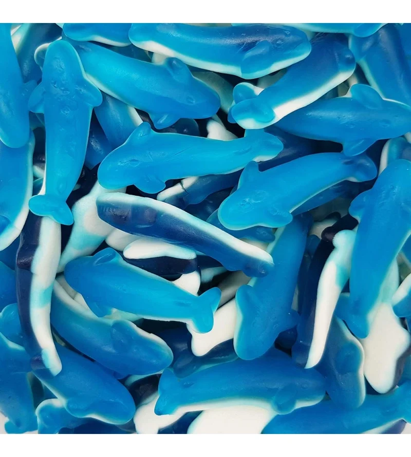 Blauwe Dolfijnen van Frisia