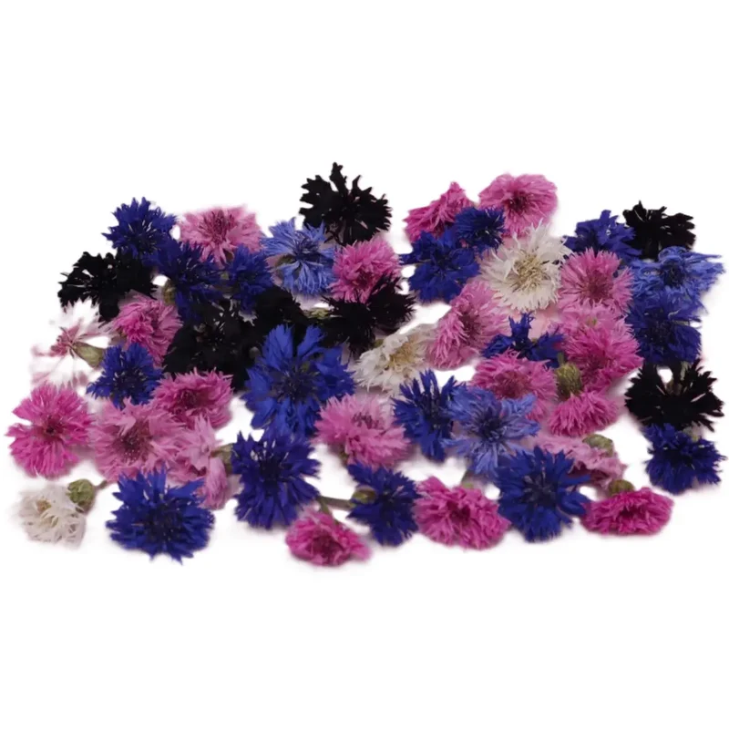 Eetbare Gedroogde Korenbloemen (25 stuks)