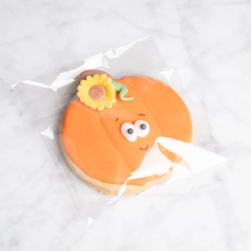 Herfst koekje pompoen