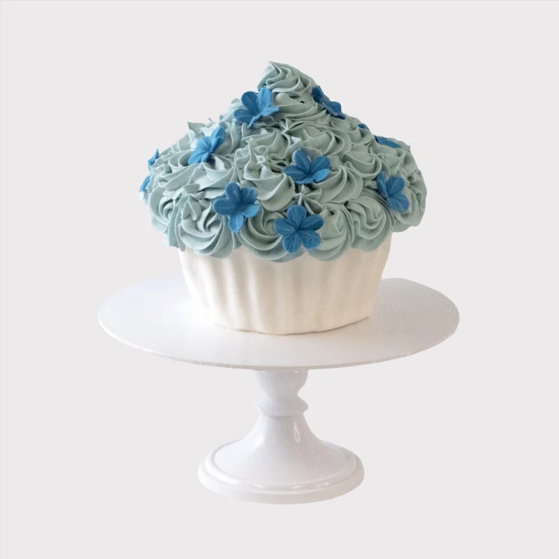 Meptaartje | Smash cake | Giant cupcake