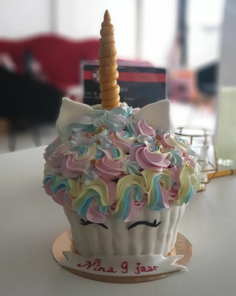 Giant Cupcake